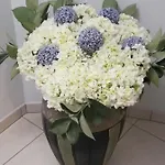 Ξενοδοχείο Europa - Family And Senior Friendly Καβάλα