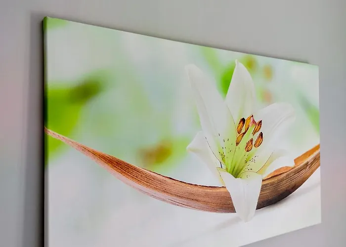 Hotel Europa - Family And Senior Friendly